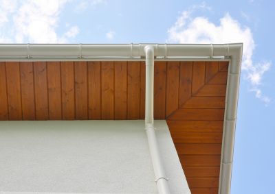 Repair Holes, Rotting, or Damage to the Soffit!